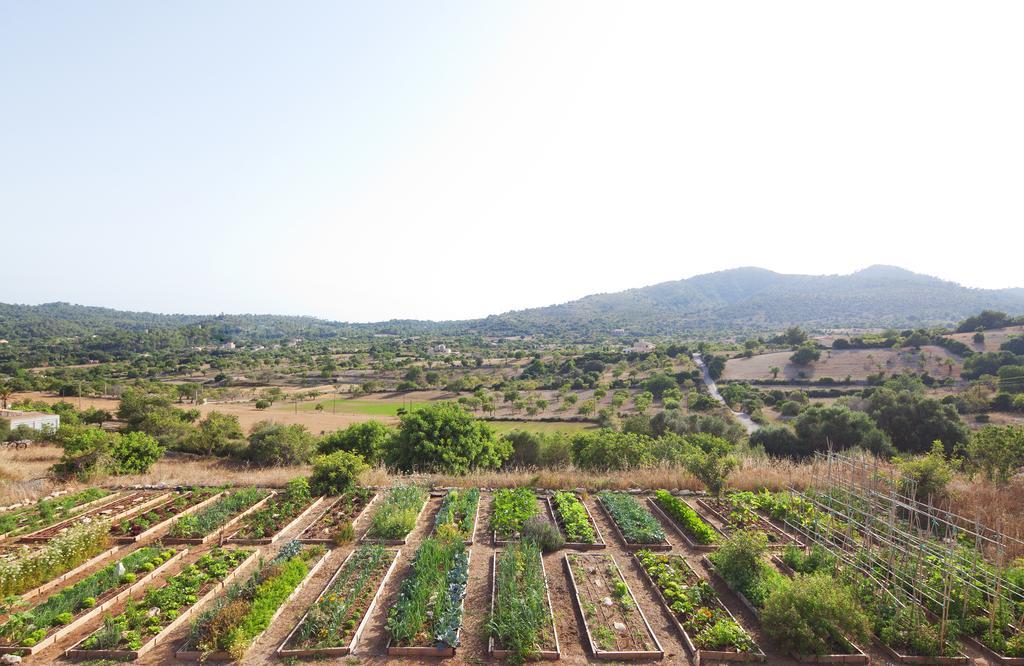 Agroturismo Ses Cases De Fetget (Adults Only) Son Servera  Exterior foto